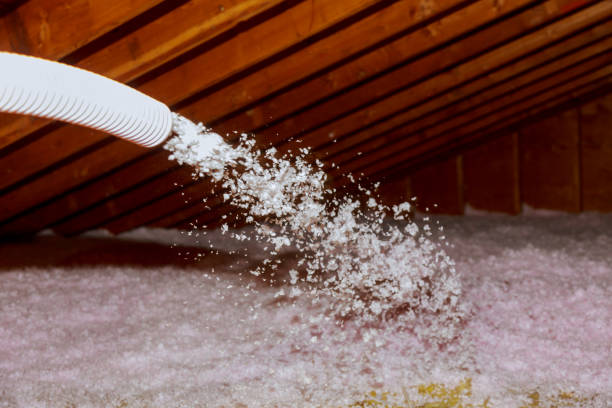 Best Specialized Insulation Services in Donalsonville, GA