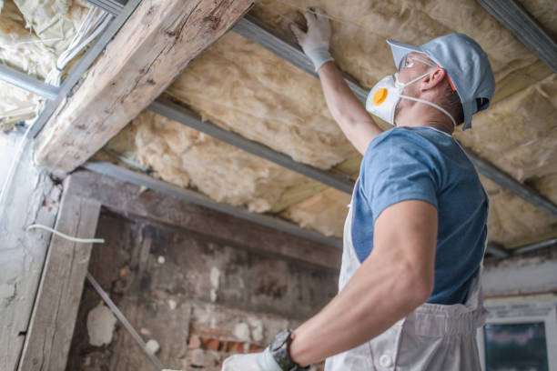 Best Spray Foam Insulation in Donalsonville, GA