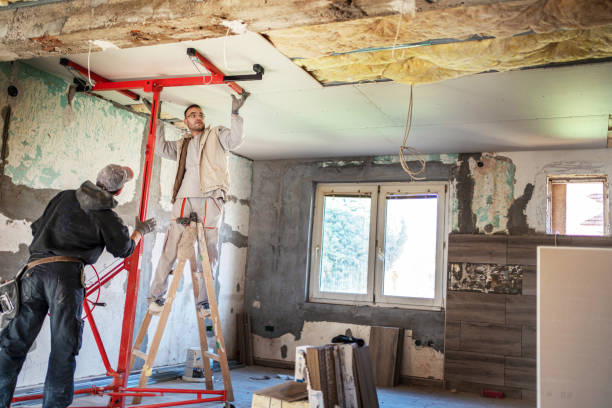Best Eco-Friendly Insulation in Donalsonville, GA